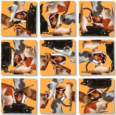 Cats Scramble Squares