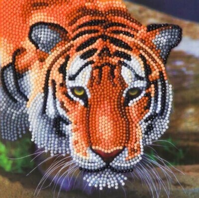 Tiger Crystal Art Card Kit 8+