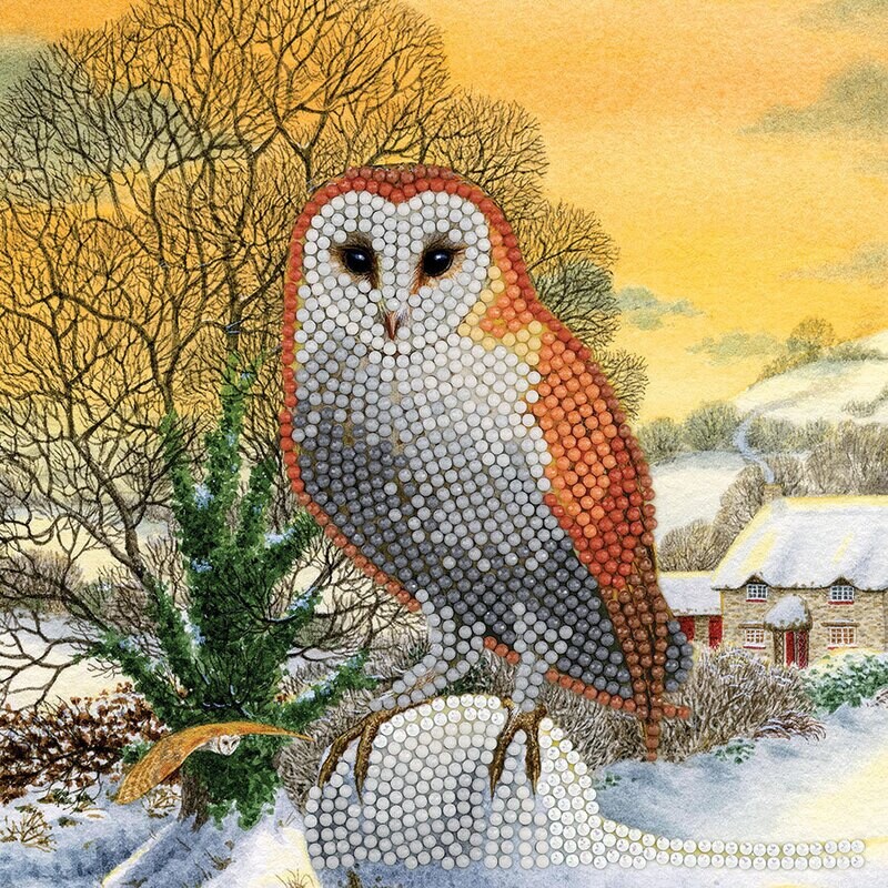 Winter Owl Crystal Art Card Kit 8+