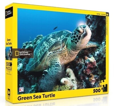 Green Sea Turtle 500 Pc