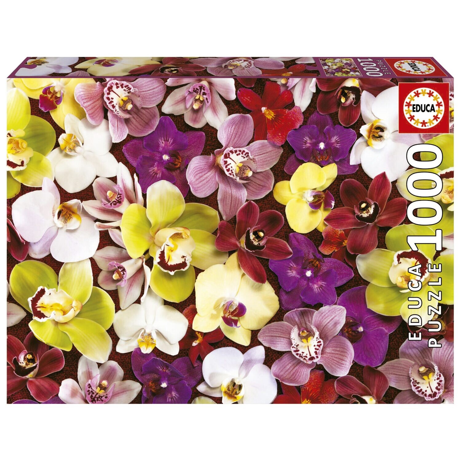 Orchid Collage 1000 Pc