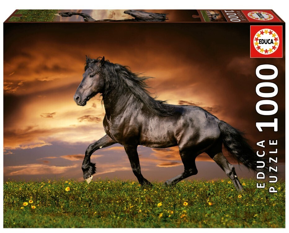 Trotting Horse 1000 Pc