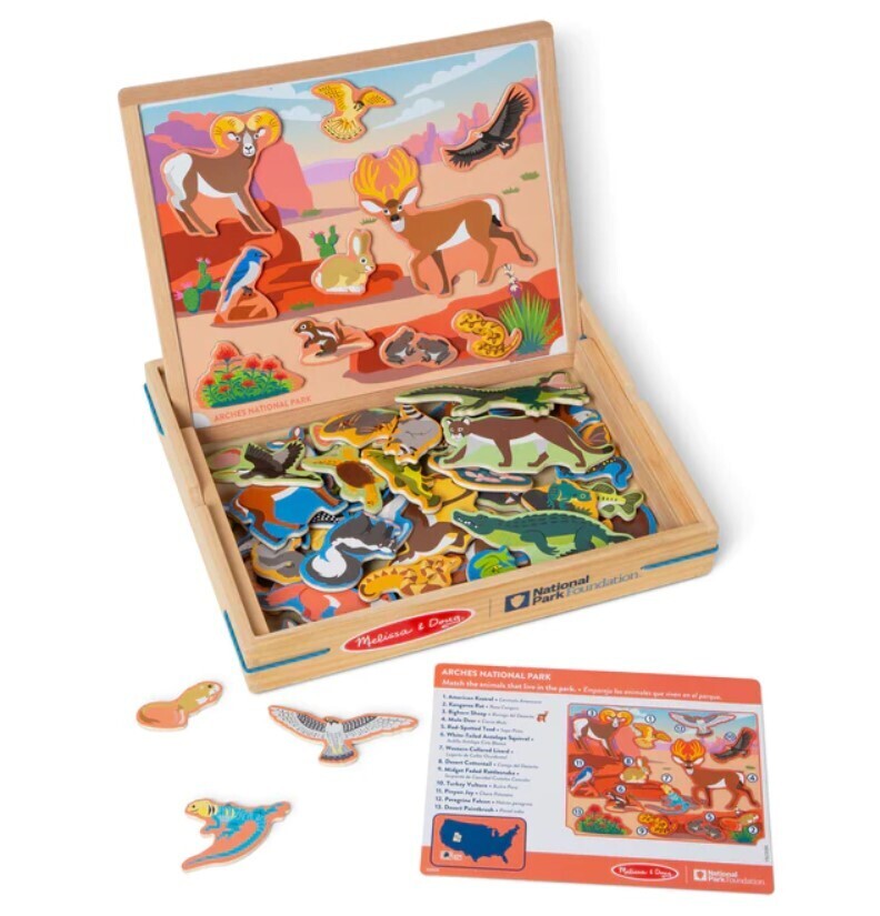 Picture Matching Magnetic Game 3+