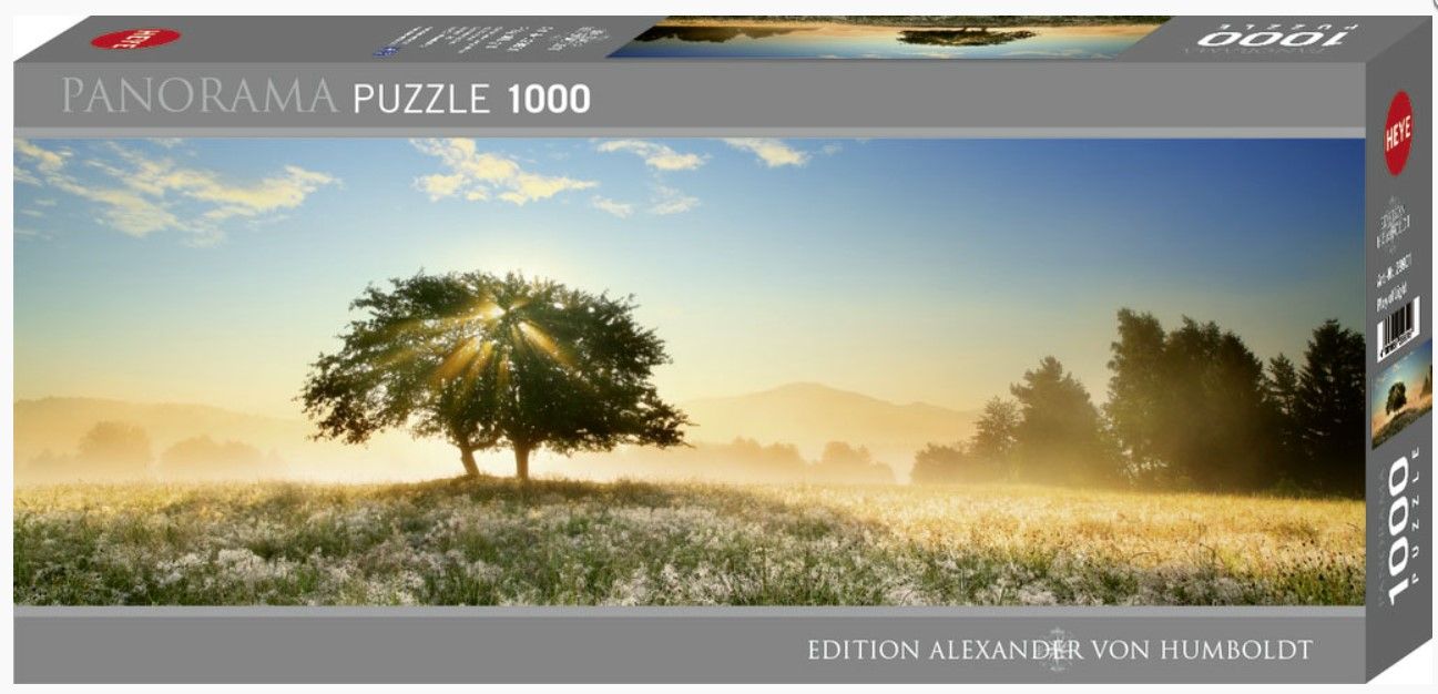 Play Of Light 1000 Pc Pano