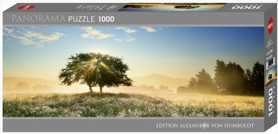 Play Of Light 1000 Pc Pano