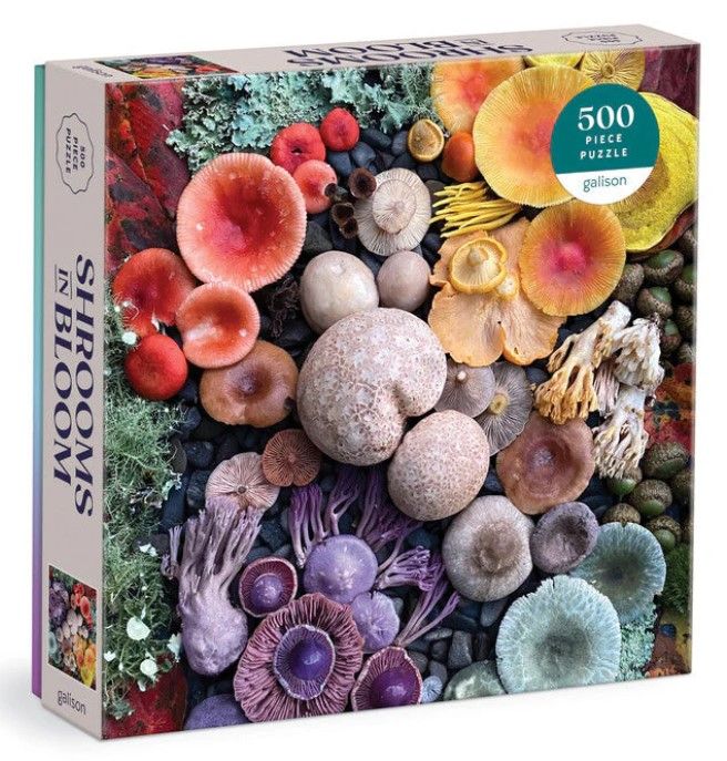 Shrooms In Bloom 500 Pc