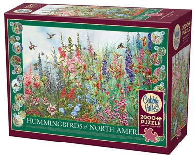 Hummingbirds Of North America 2000 Pc