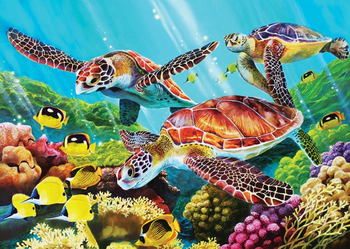 Molokini Sea 35 Pc Tray Large Pc