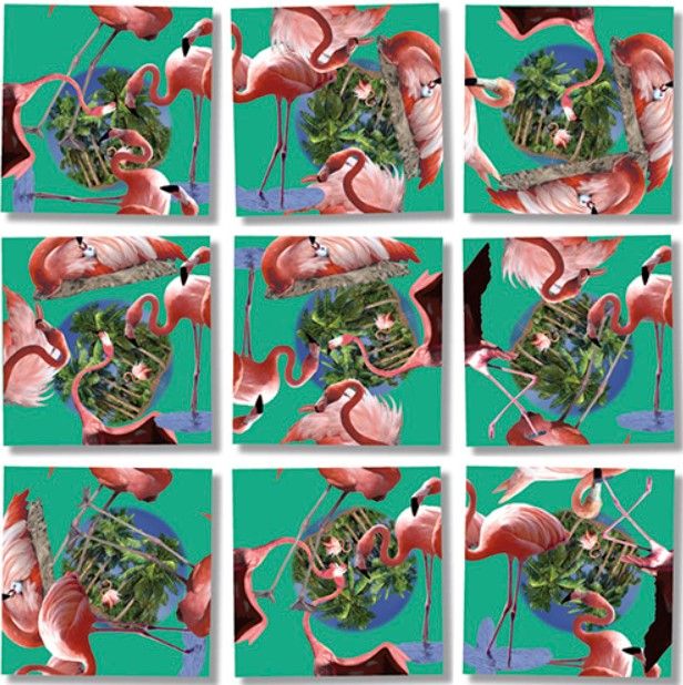 Flamingos Scramble Squares 4+ Flamingos Scramble Squares 4+