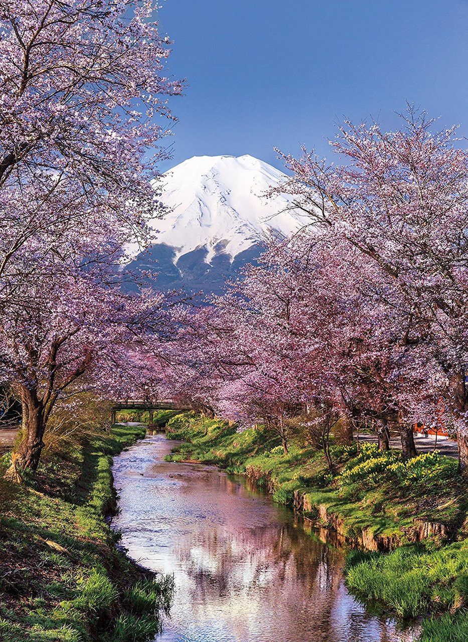 Fuji Mountain 500 Pc