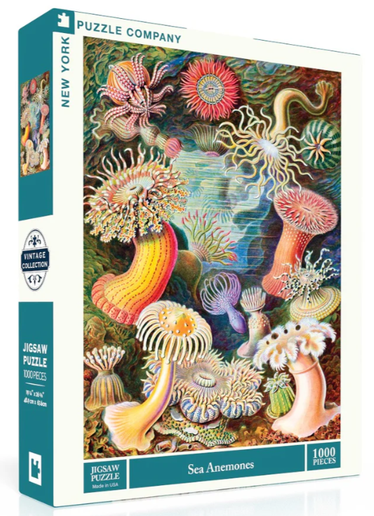Sea Anemones 1000 Pc