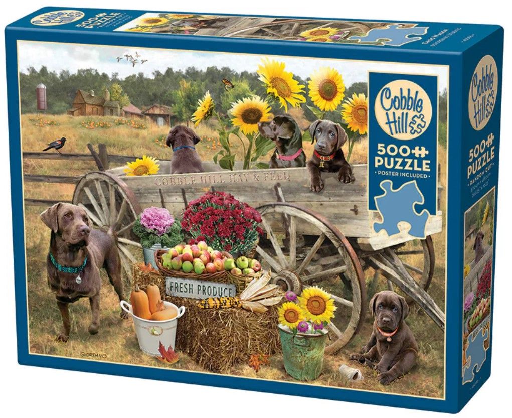 Choc Wagon 500 Pc
