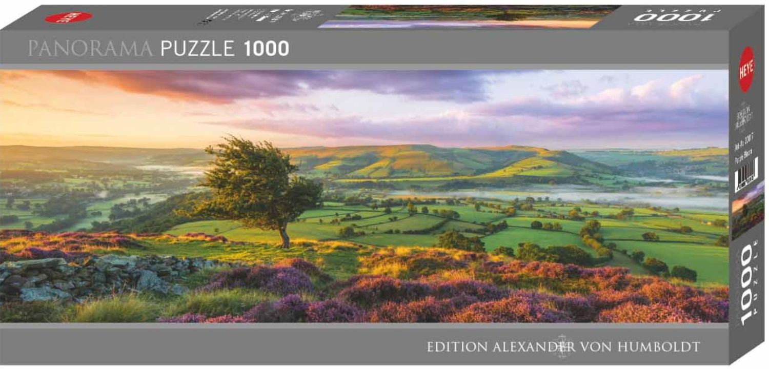 Purple Bloom 1000 Pc