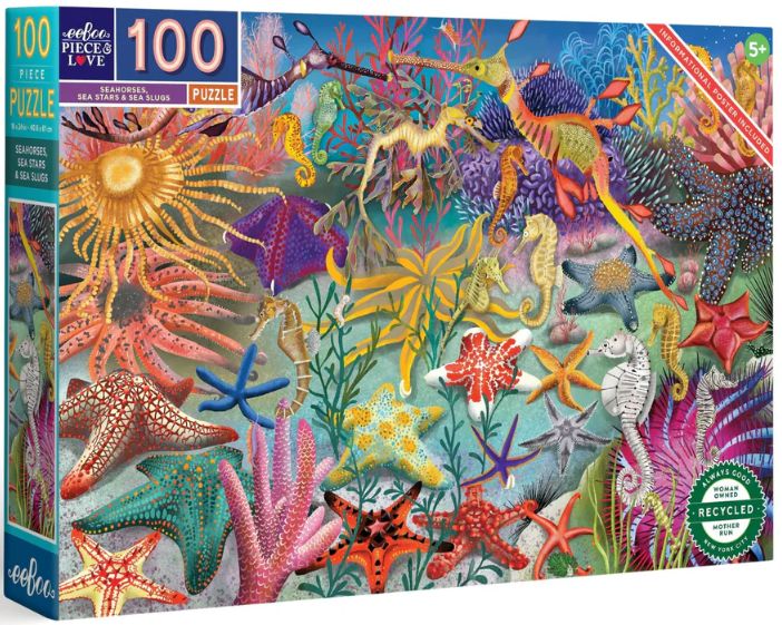 Seahorses, Sea Stars &amp; Sea Slug