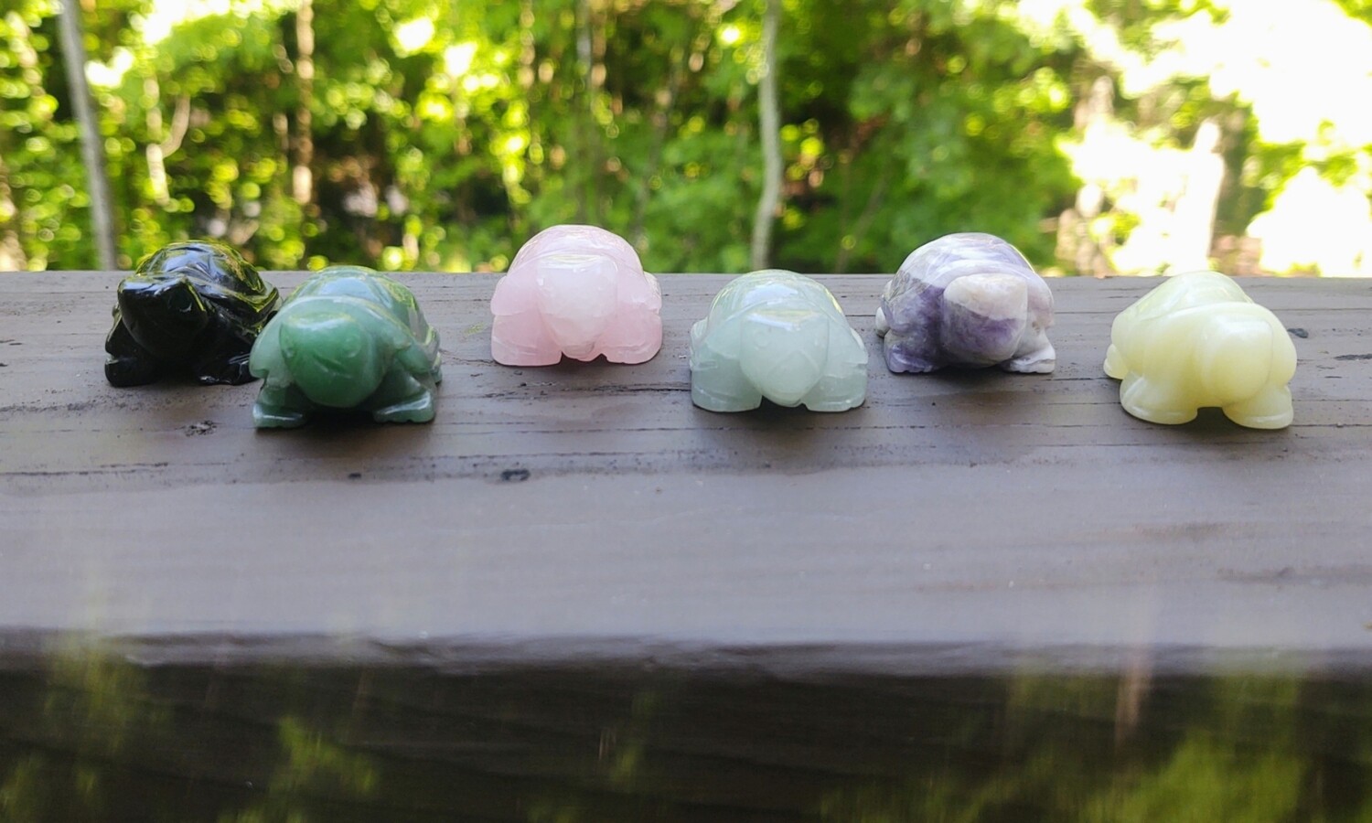 Turtle Carvings