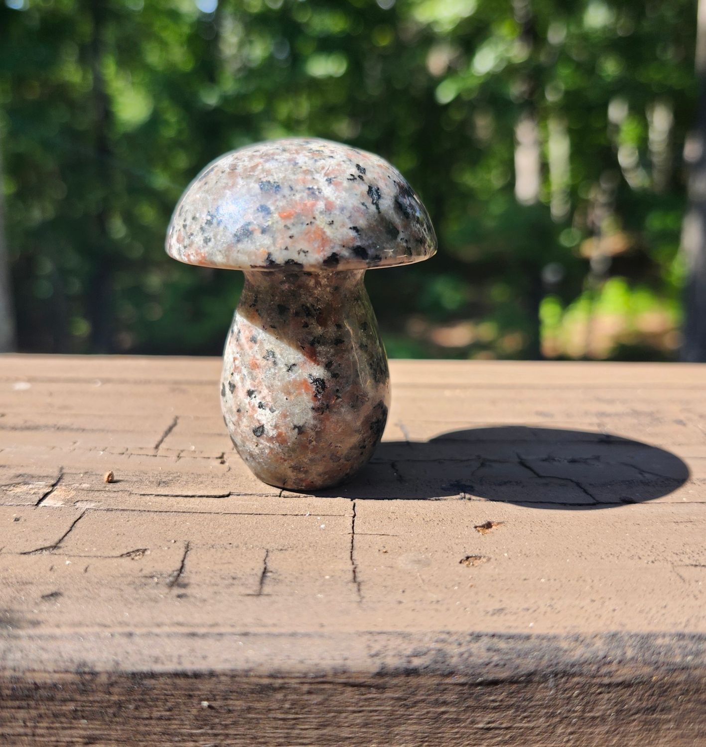 Agate Mushroom