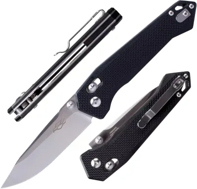 Ganzo Firebird FB7651 folding knife Black G10