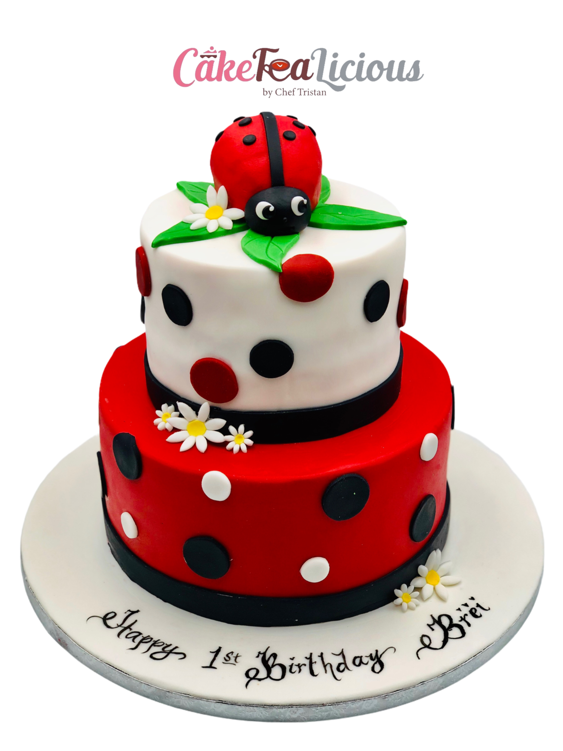 Lady Bug