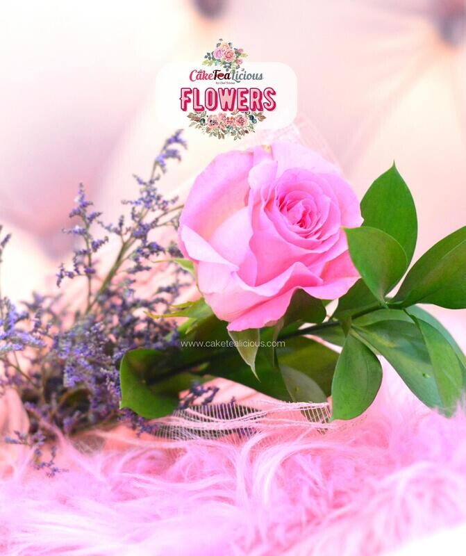 Single Rose - Pink