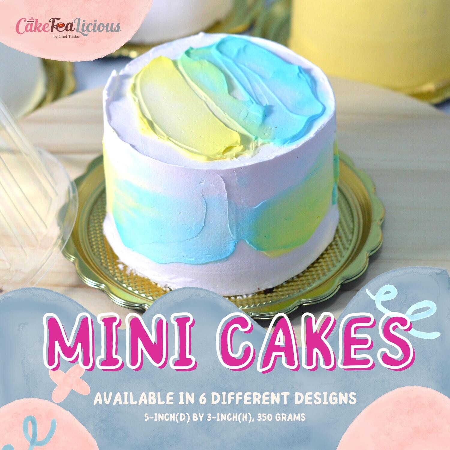 Mini Cake - Multicolor Smear