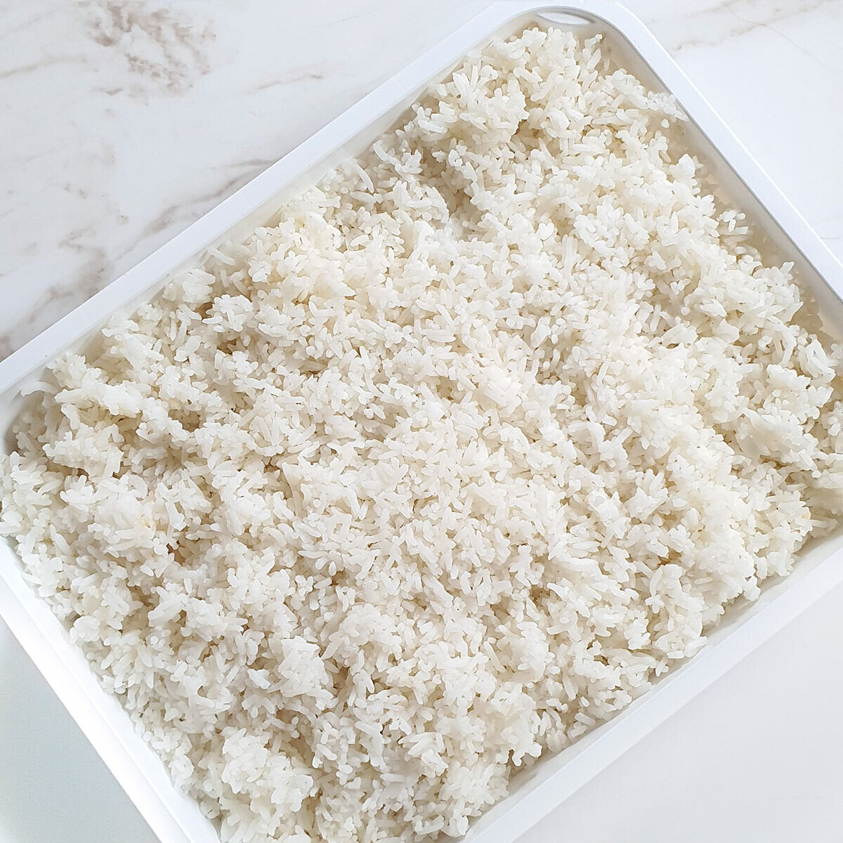 Plain Steamed Rice