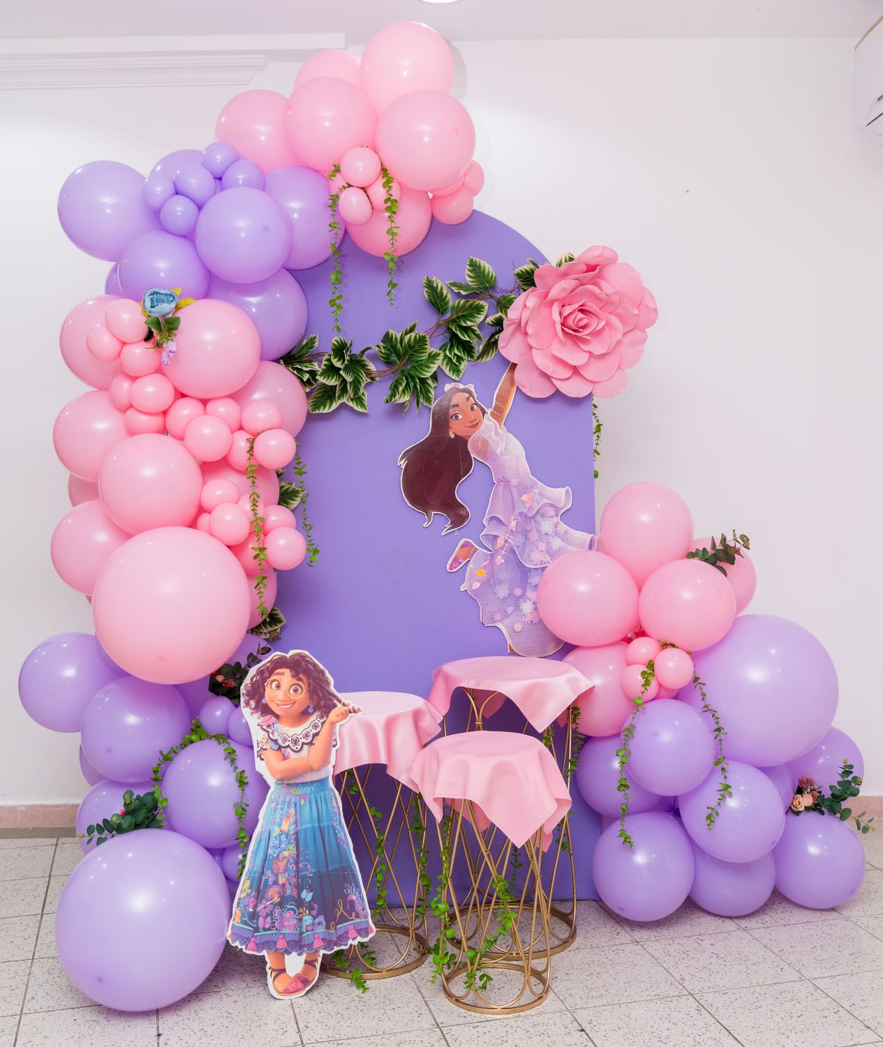 Encanto Birthday Theme