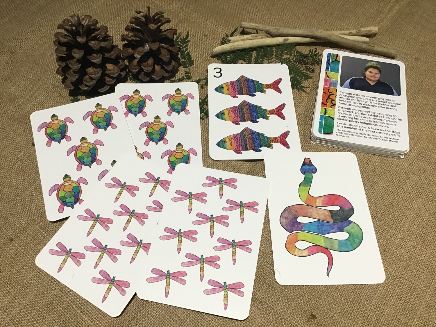 CLEARANCE ITEM - Aboriginal Art Card Set