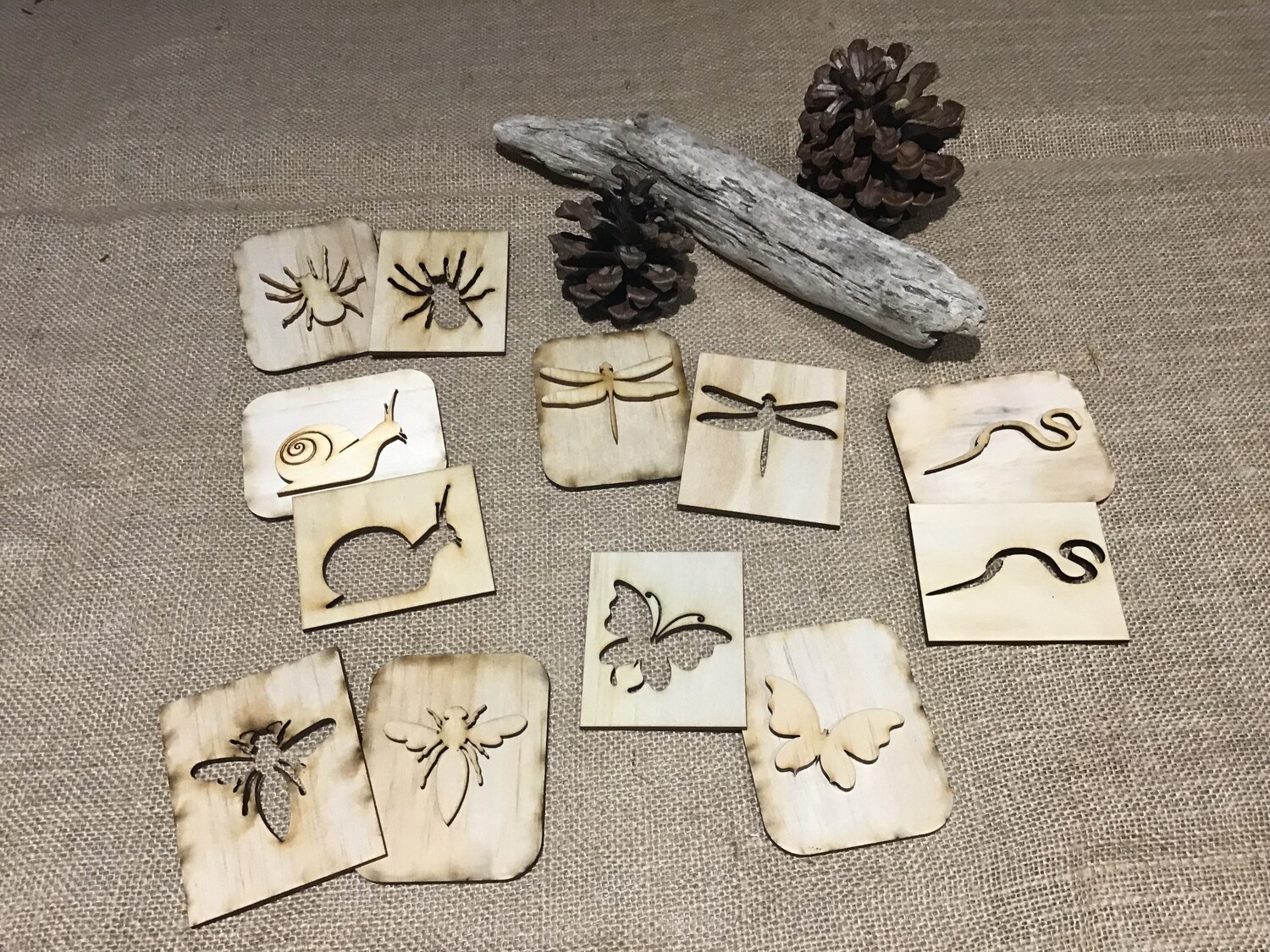 Bug Stamps