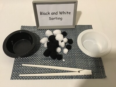 Black and White Sorting Set