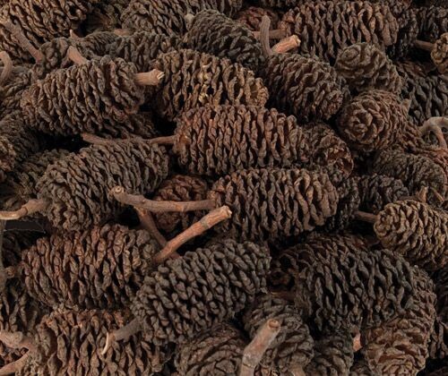 Bud Cones 200g