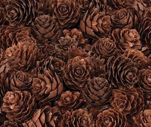 Pine Cones Mini 190g
