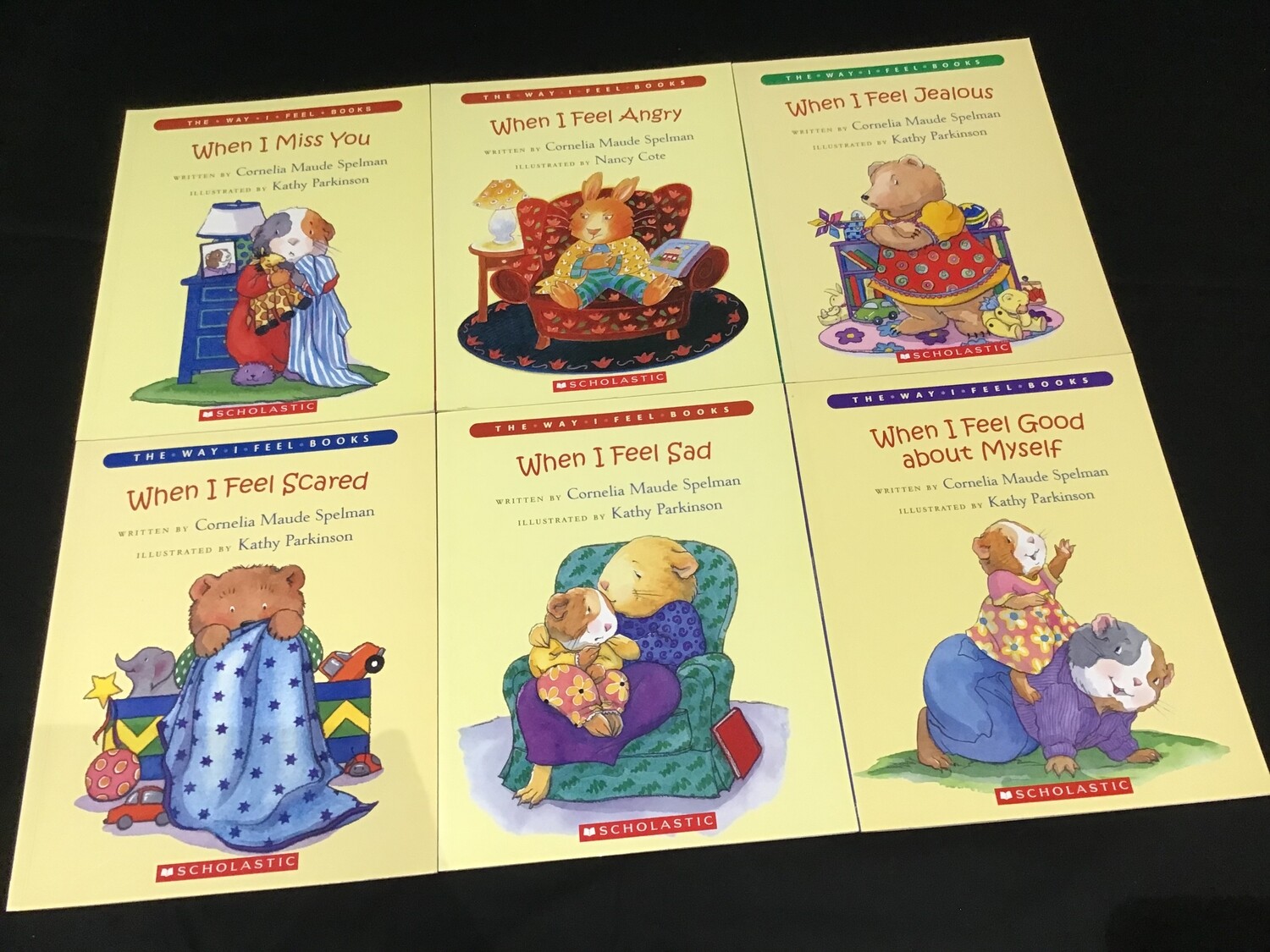 The Way I Feel Books Collection