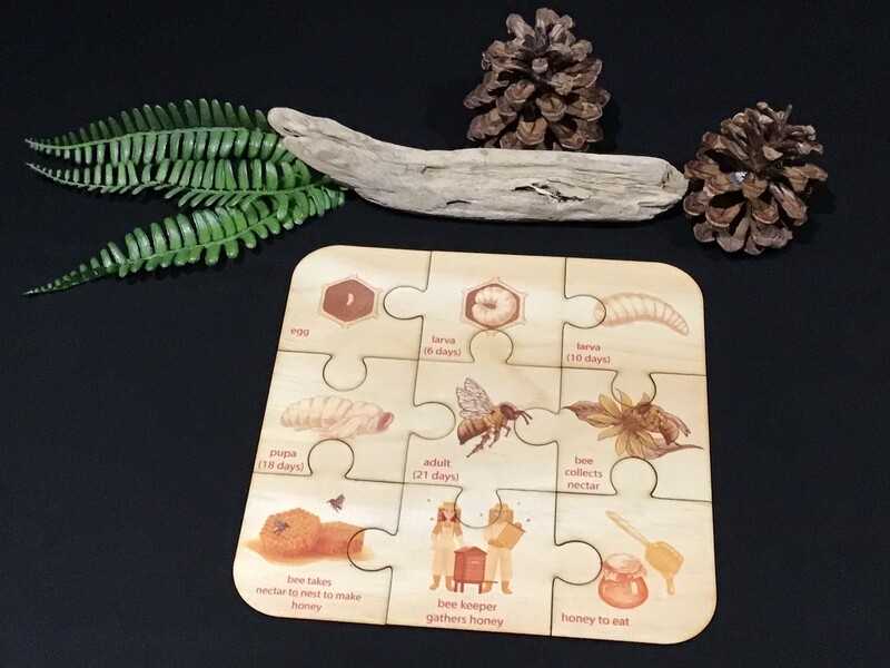 Australian Honey Bee Lifecycle Puzzle