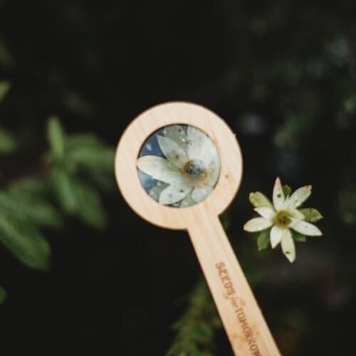 Bamboo Magnifying Glass
