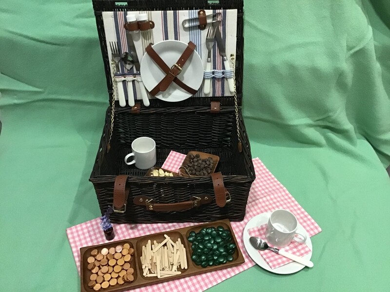 Picnic Play Set