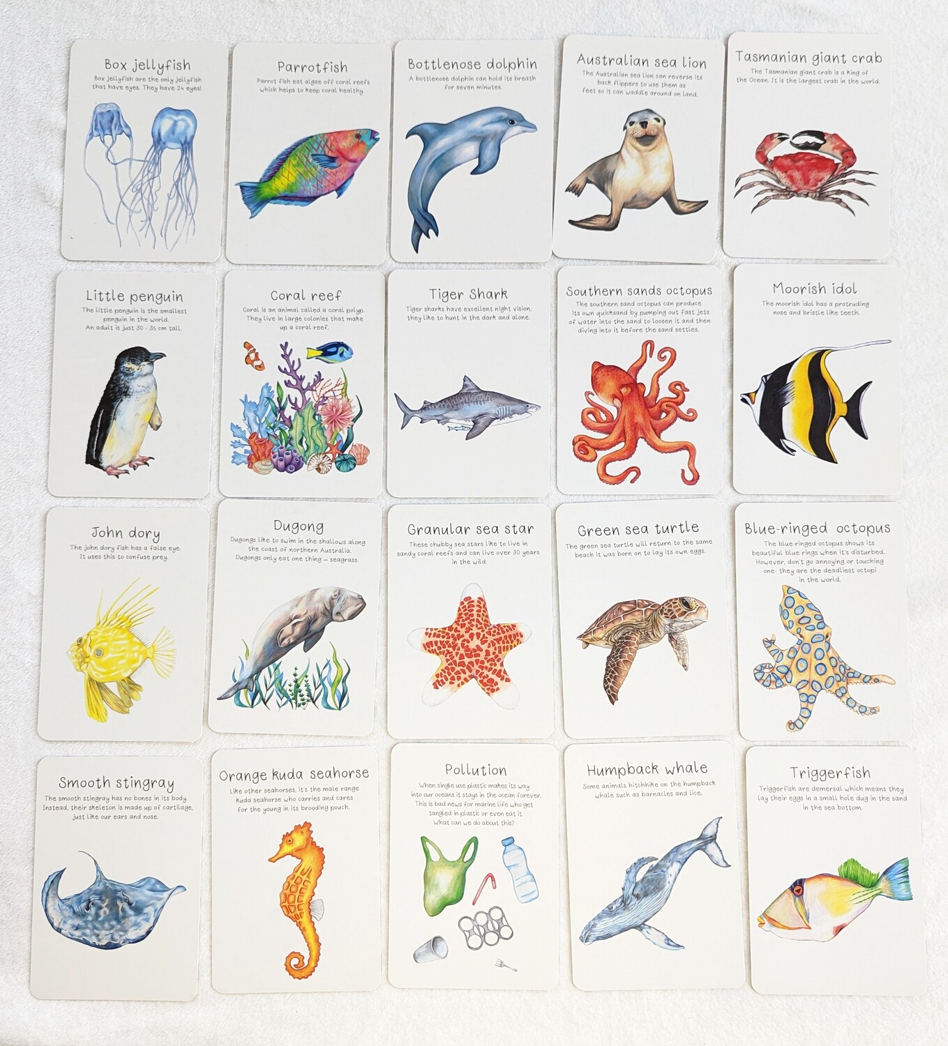 Australian Ocean Creature Flashcards