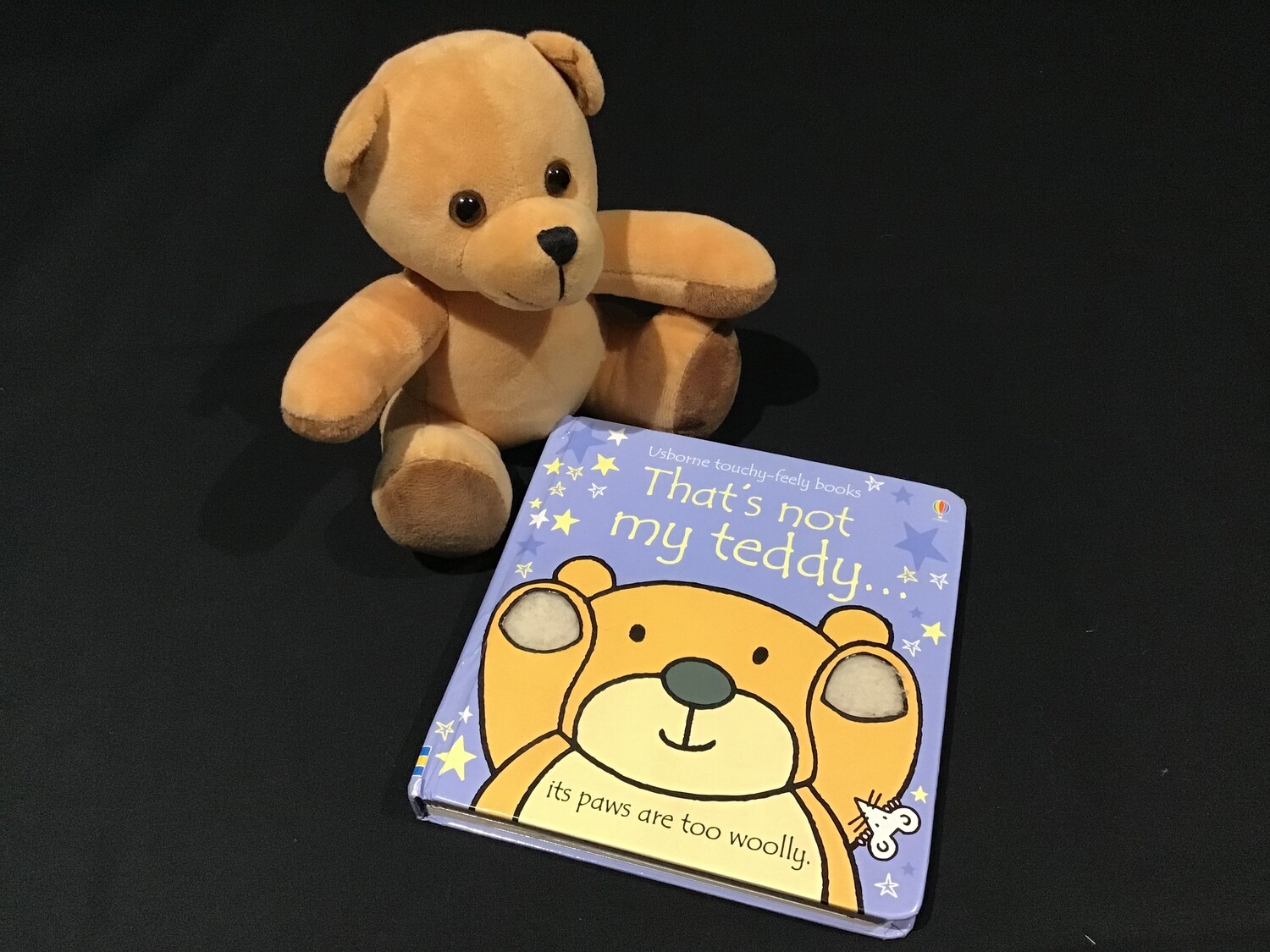 That&#39;s not my teddy ... Story Bag