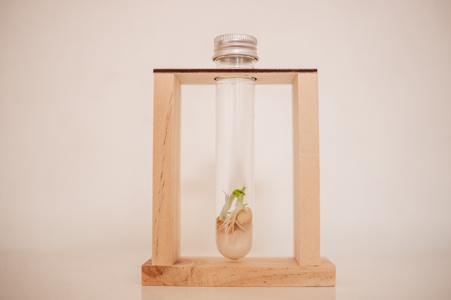 Watch Me Grow Kit
