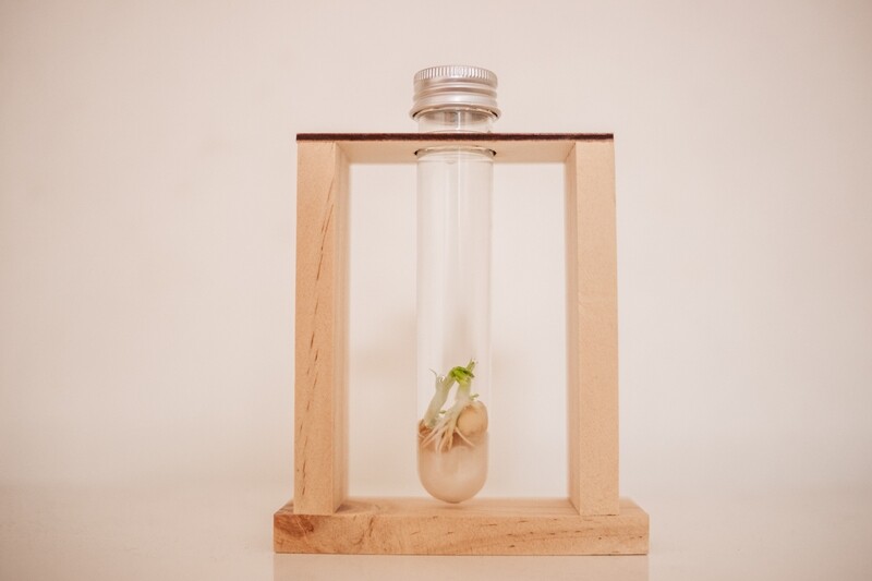 Watch Me Grow Kit