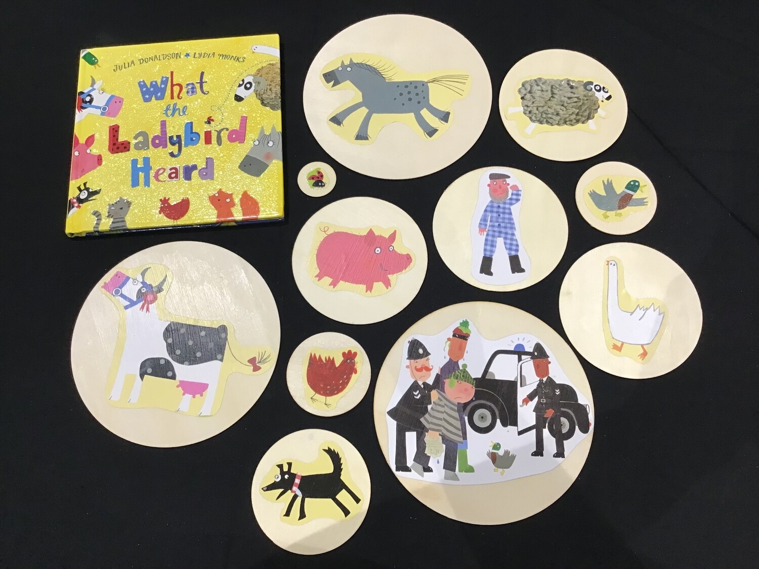 What the Ladybird Heard Story Bag