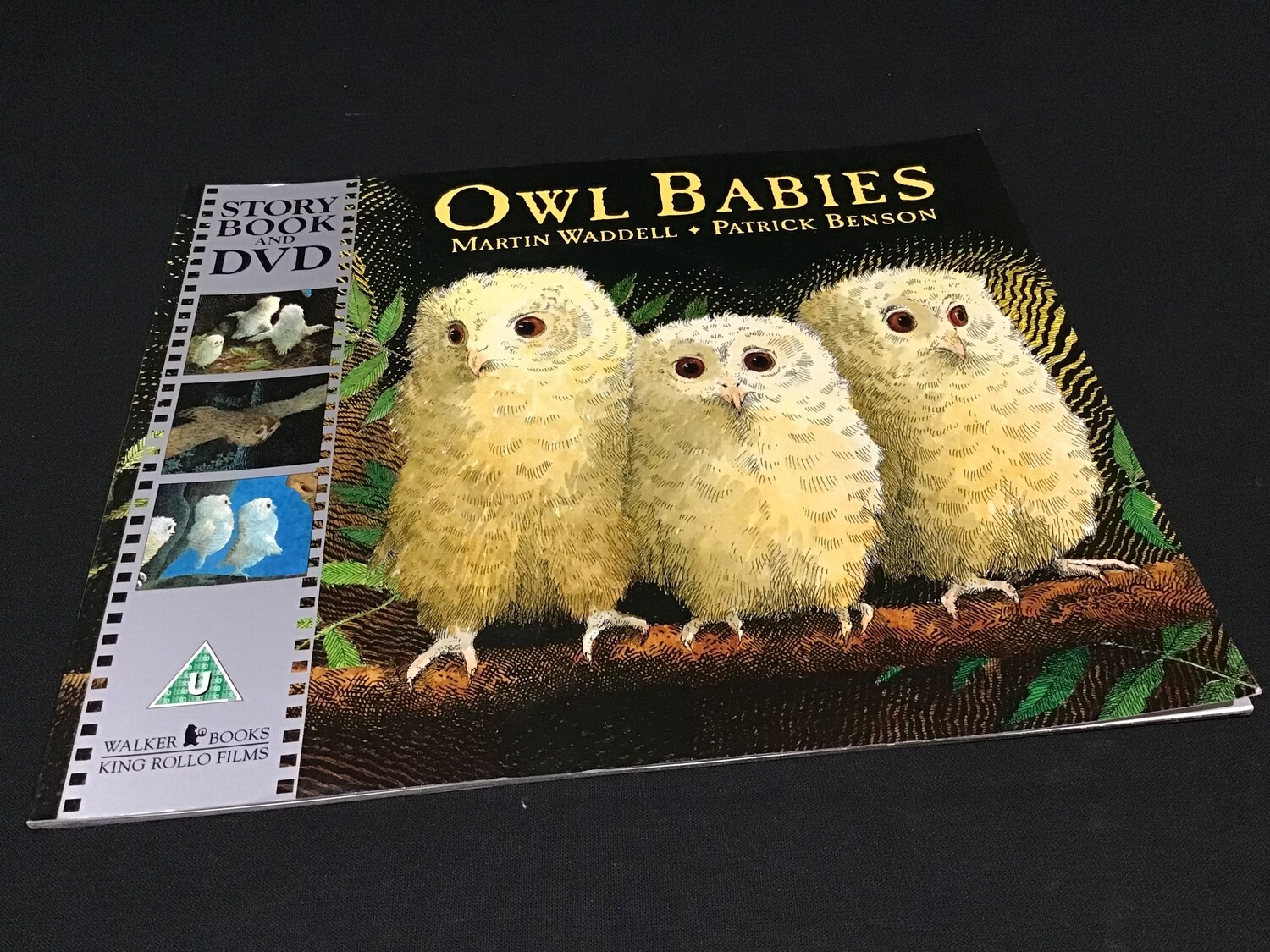 Owl Babies