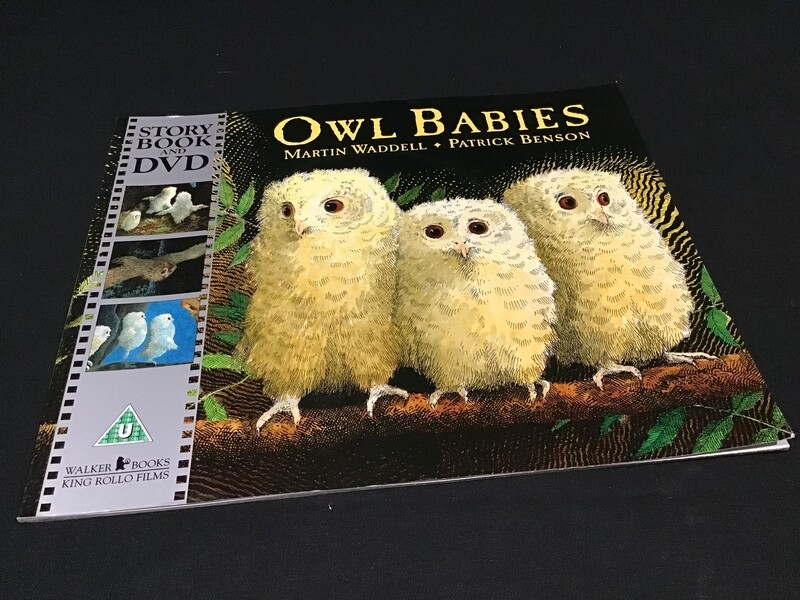 Owl Babies