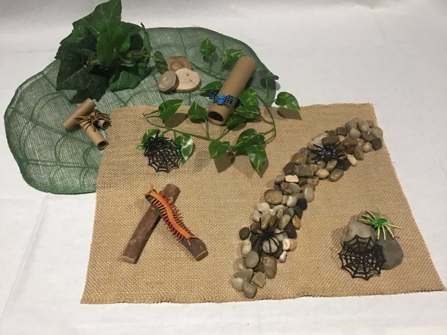 A Spider&#39;s World Play Set