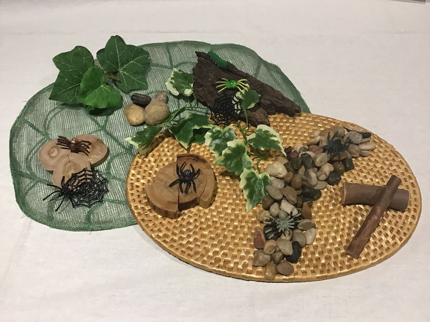 A Spider&#39;s World Play Set
