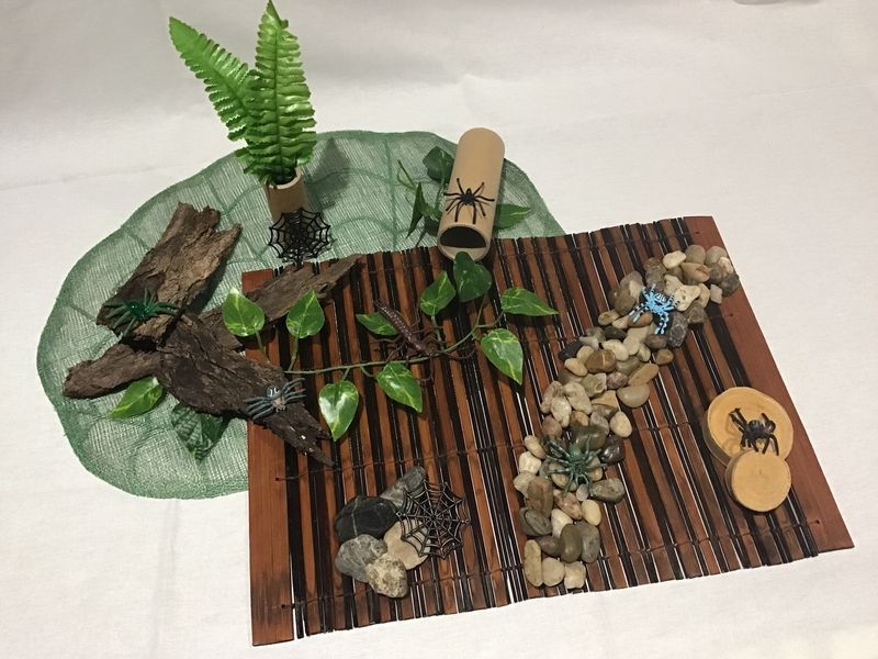 A Spider&#39;s World Play Set