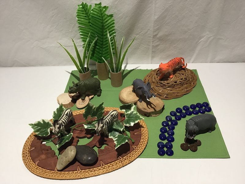 Wild Animal Play Set