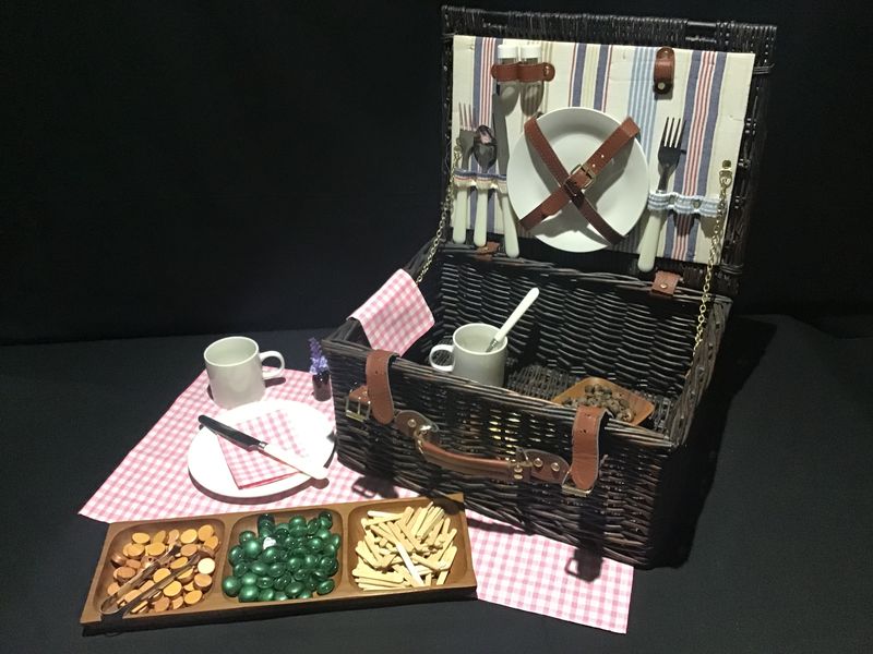 Picnic Play Set