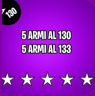5 Armi 130/133