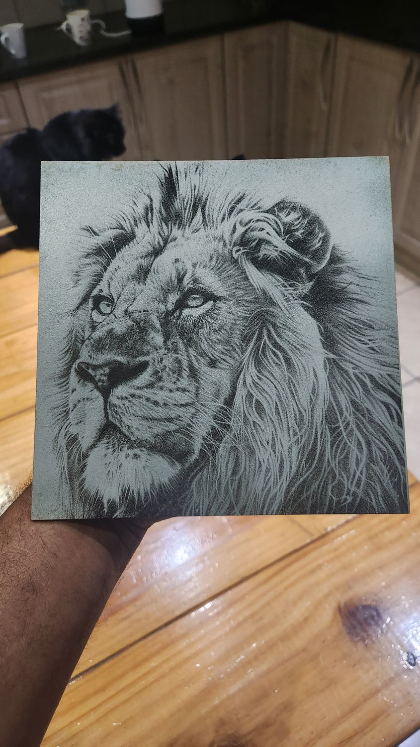 Lion on MDF