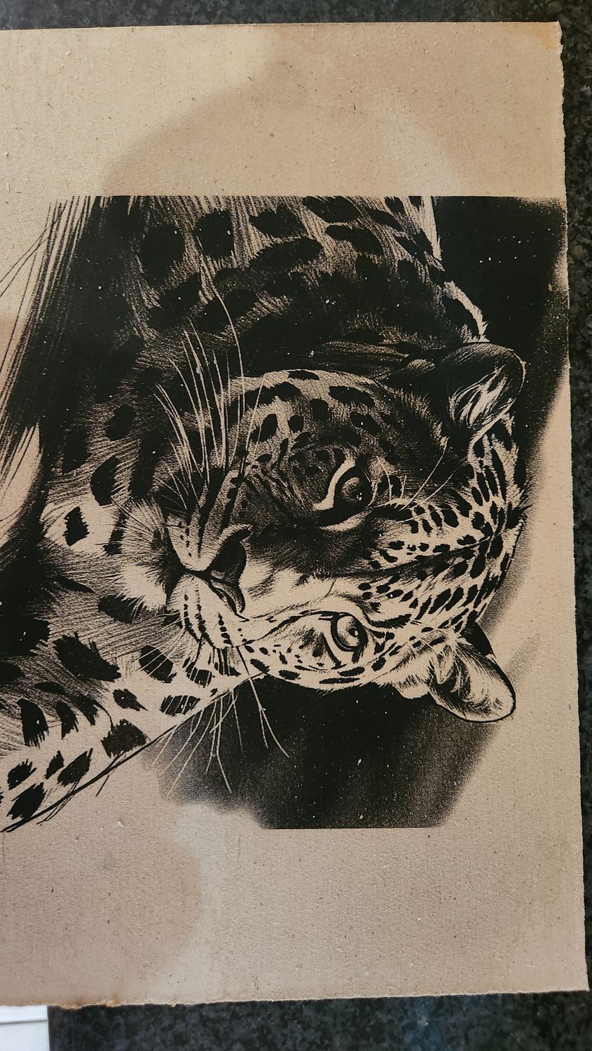 Leopard on MDF